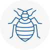 Bed Bug Extermination In Cowes