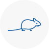 Mice Exterminators In Cowes