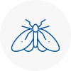Moth Control Specialists In Cowes