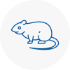 Rat Control Cowes