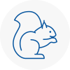 Cowes Rodent Removals